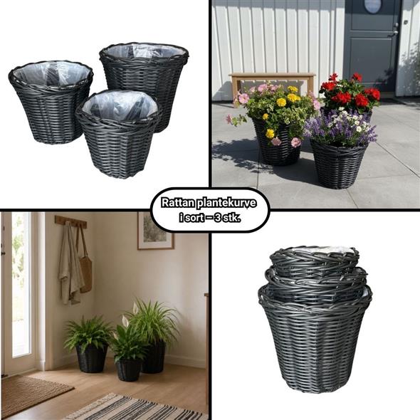 Rattan kurve sort